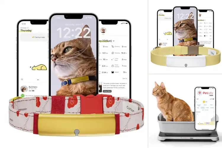 Detailed view of Best Activity Monitors For Cats