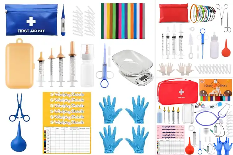 Detailed view of Best Breeder Supplies: Essential Kit Guide for Pet Breeders