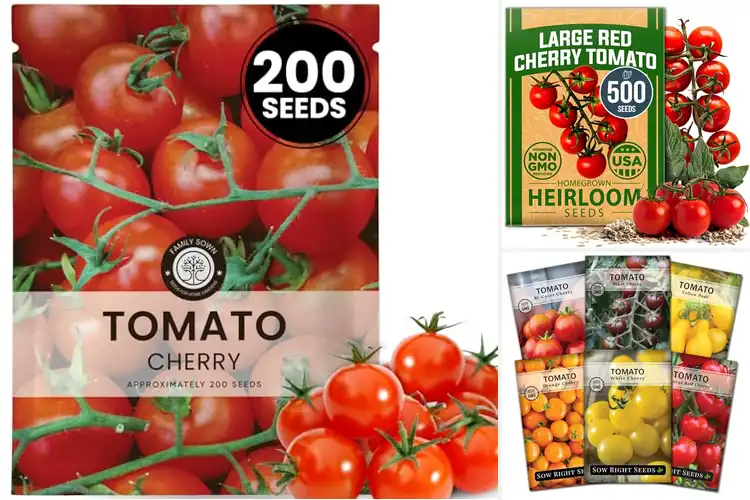 Detailed view of Best Cherry Tomato Seeds