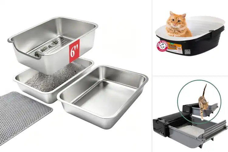 Detailed view of Best Clumping Litter Boxes: Top Picks for Perfect Kitty Care