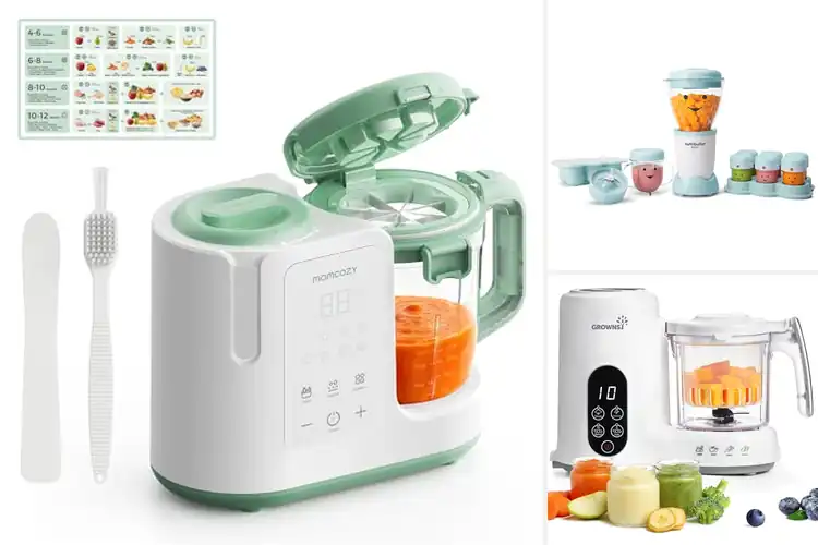 Detailed view of Best Dishwasher Safe Baby Food Blenders