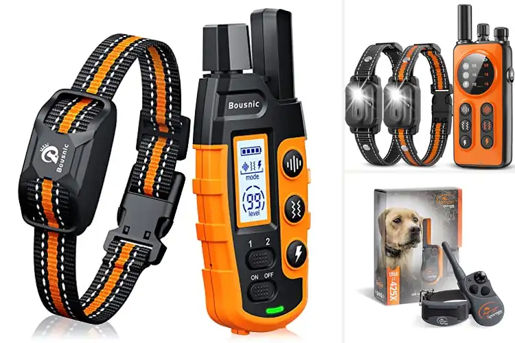 Detailed view of Best Dog Training Collars: Stress-Free Walks & Easy Training