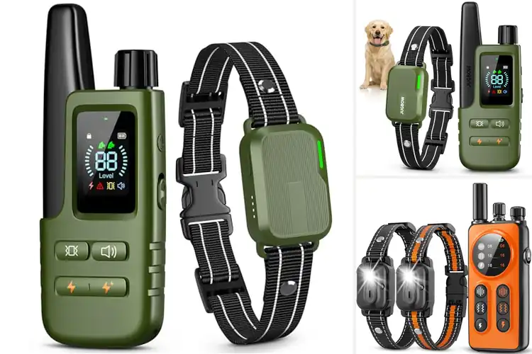 Detailed view of Best Dog Training Collars With Remote