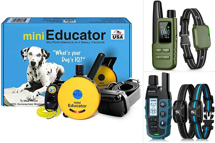 Detailed view of Best E Collars For Dogs