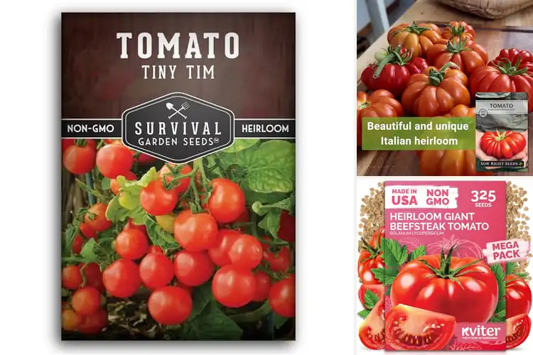 Detailed view of Best Easy-Grow Tomato Seeds