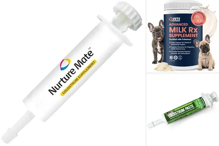Detailed view of Best Emergency Supplements For Newborn Puppies