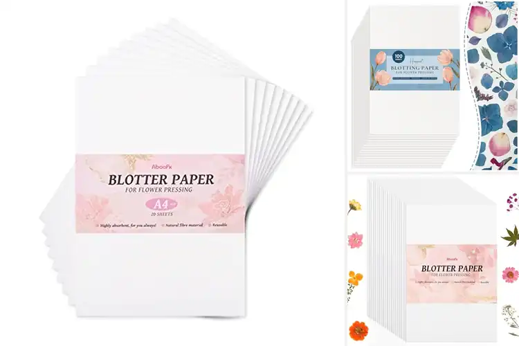 Detailed view of Best Flower Drying Papers: Keep Colors Bright and Flat