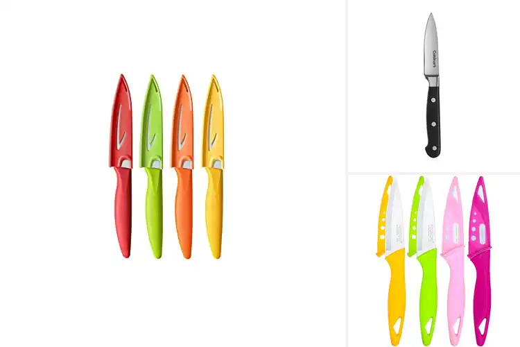 Detailed view of Best Fruit Paring Knives For Easy Peeling