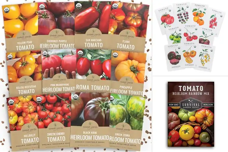 Detailed view of Best Heirloom Tomato Seeds