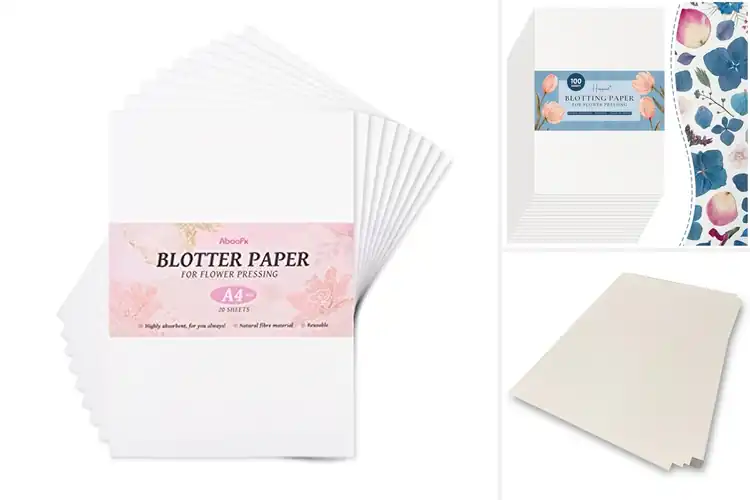 Detailed view of Best Herbarium Paper Sheets
