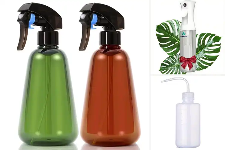 Detailed view of Best Indoor Plant Bottles: 10 Top Picks for Thriving Plants