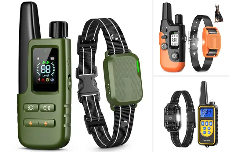 Detailed view of Best IPX8 Waterproof Dog Collars