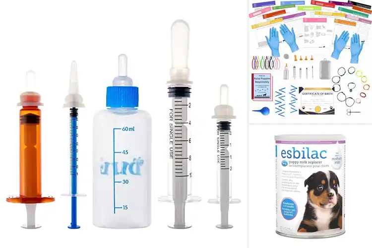 Detailed view of Best Newborn Puppy Care Products