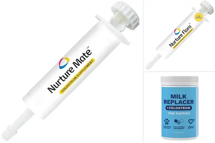 Detailed view of Best Newborn Puppy Colostrum
