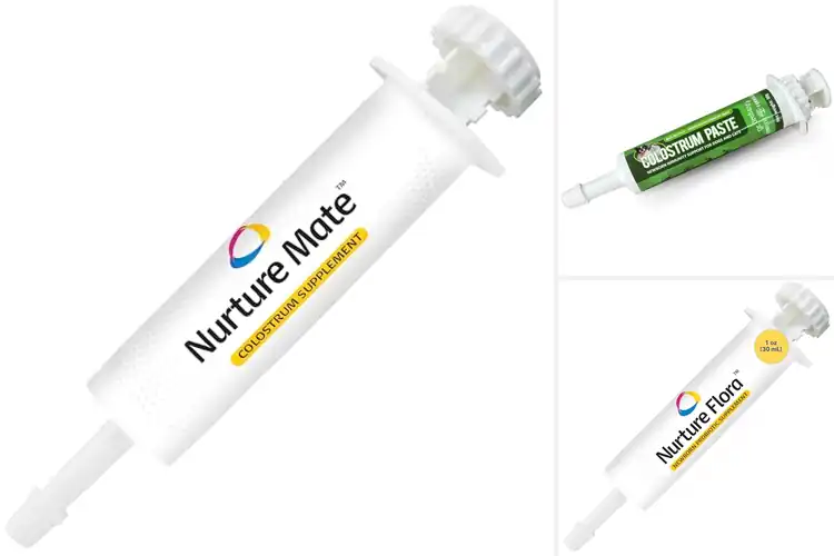 Detailed view of Best Newborn Puppy Colostrum Supplements