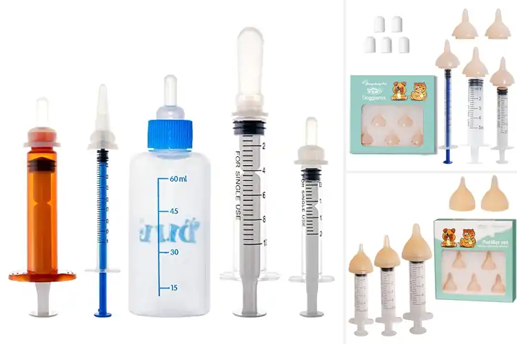 Detailed view of Best Newborn Puppy Feeding Syringes