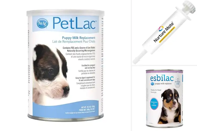 Detailed view of Best Newborn Puppy Nutrients