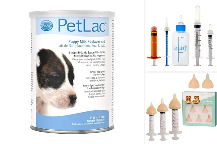 Detailed view of Best Newborn Puppy Products