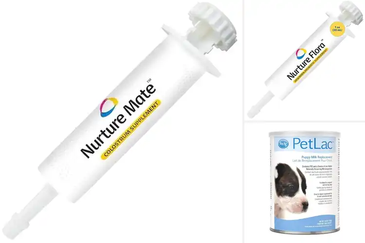 Detailed view of Best Newborn Puppy Supplements for Healthy Early Growth