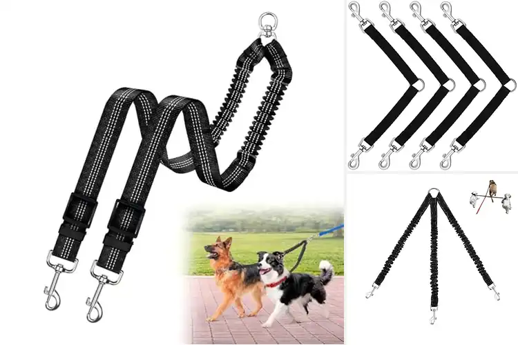 Detailed view of Best No Tangle Dog Leash Couplers: Smooth, Stress‑Free Walks