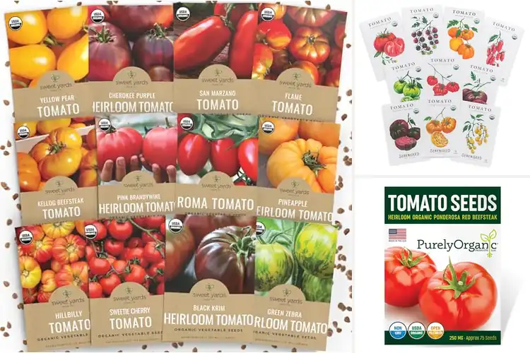 Detailed view of Best Non-GMO Tomato Seeds