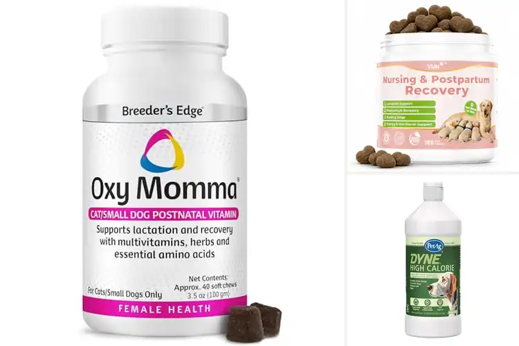 Detailed view of Best Nursing Dog Supplements
