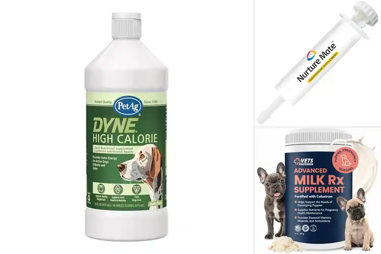 Detailed view of Best Nursing Supplements For Puppies