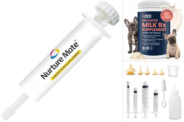 Detailed view of Best Puppy Colostrum Feeding Aids