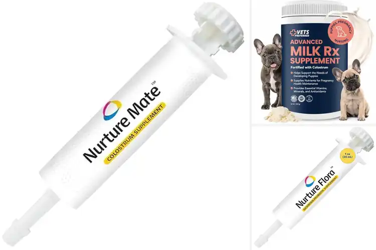 Detailed view of Best Puppy Colostrum Formulas for a Strong, Healthy Start