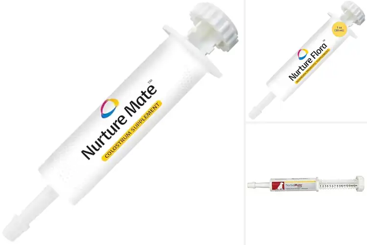 Detailed view of Best Puppy Colostrum