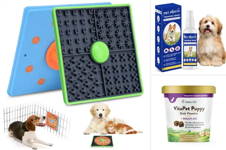 Detailed view of Best Puppy Development Aids