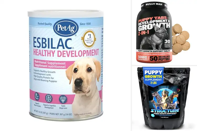 Detailed view of Best Puppy Development Supplements