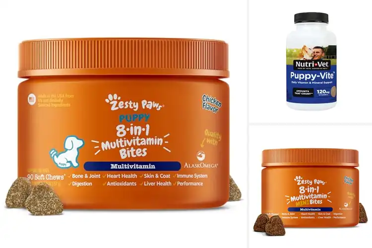 Detailed view of Best Puppy Health Supplements