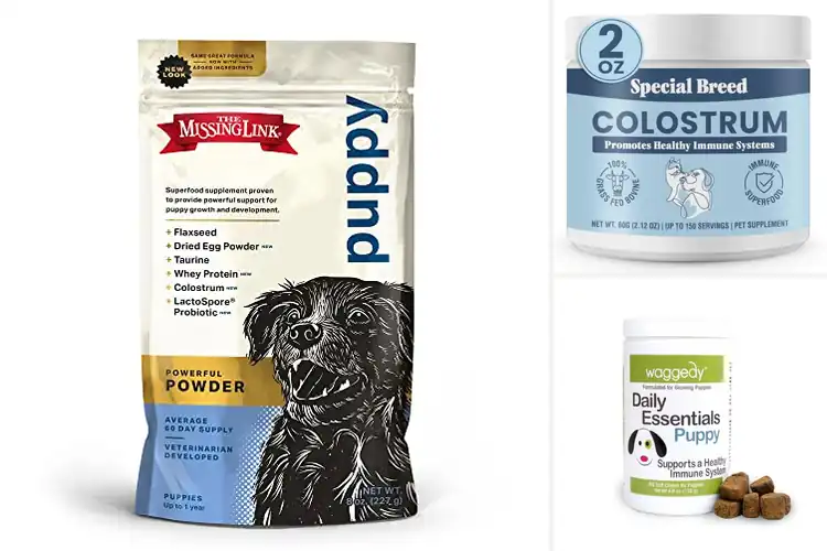 Detailed view of Best Puppy Immunity Boosters