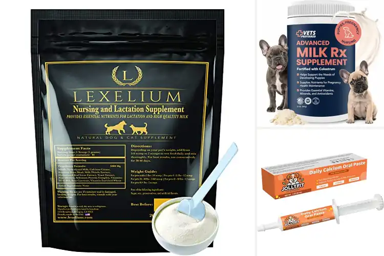 Detailed view of Best Puppy Nursing Supplements for Healthy Newborn Growth