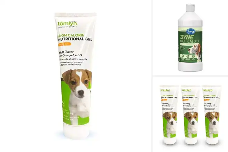 Detailed view of Best Puppy Nutrition Products