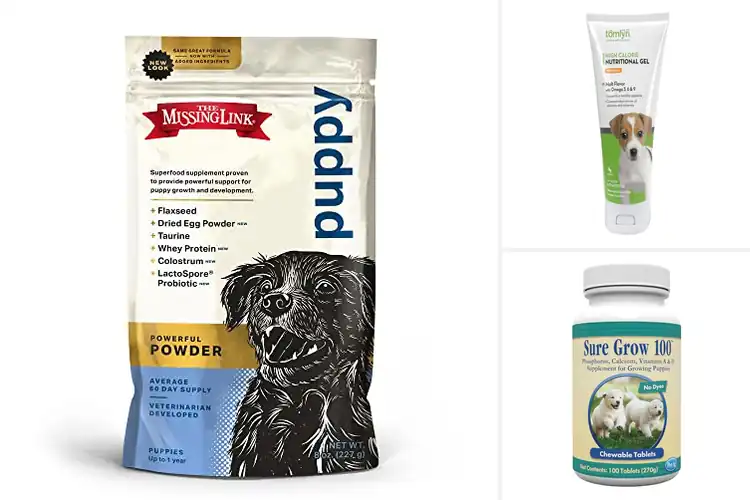 Detailed view of Best Puppy Supplements