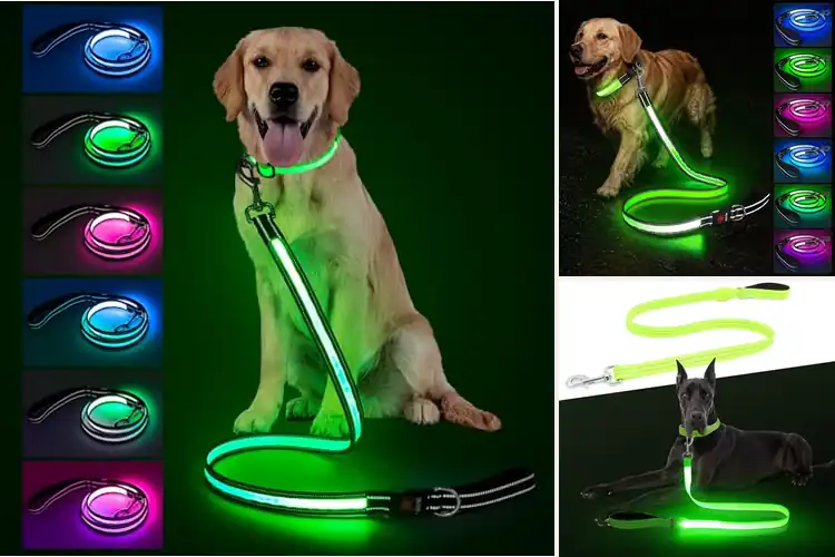 Detailed view of Best Reflective Dog Leashes For Night Walks