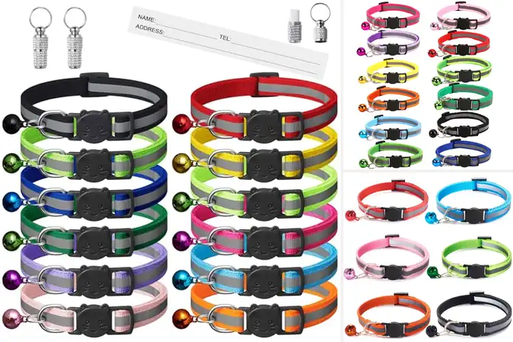 Detailed view of Best Safety Collars For Cats