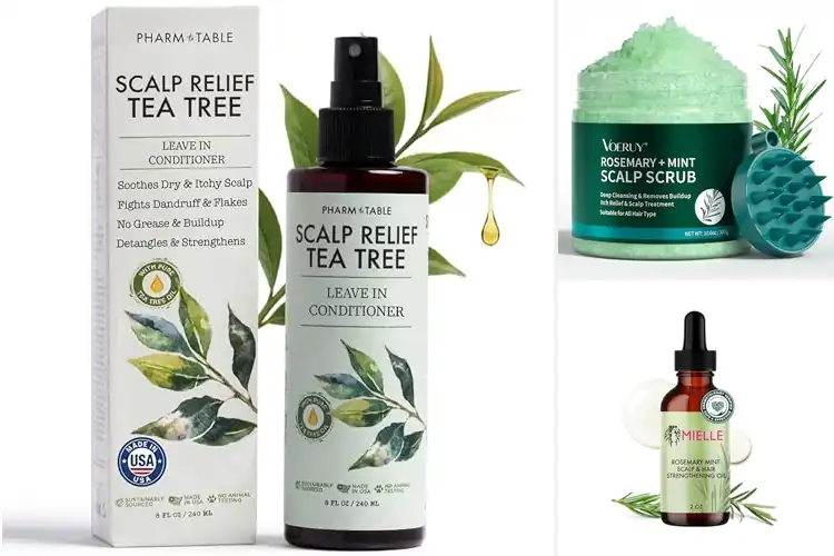 Detailed view of Best Scalp Care Products