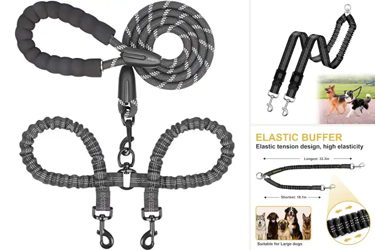 Detailed view of Best Shock Absorbing Dog Leashes For Two Dogs