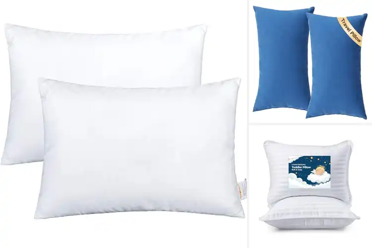 Detailed view of Best Small Pillows