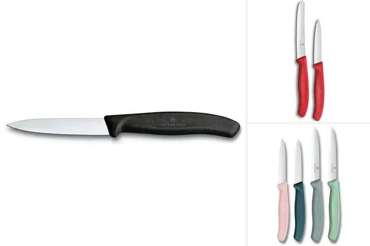 Detailed view of Best Swiss Paring Knives
