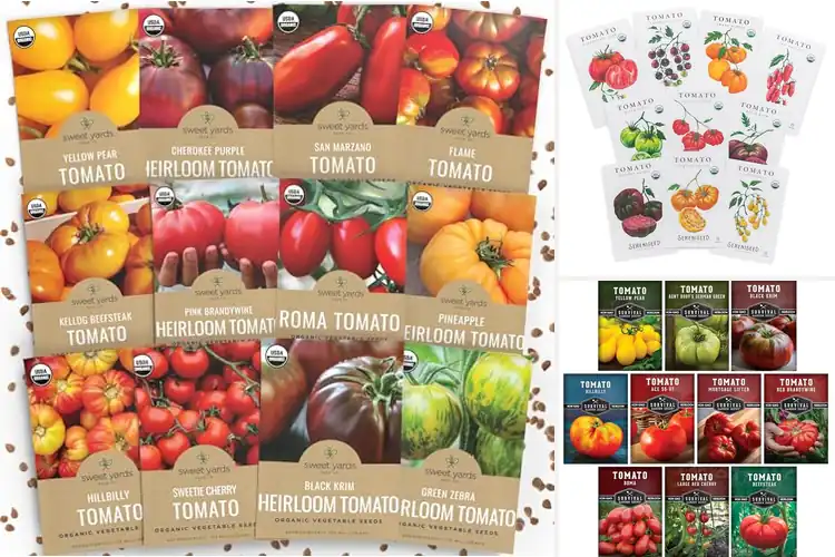 Detailed view of Best Variety Tomato Seeds