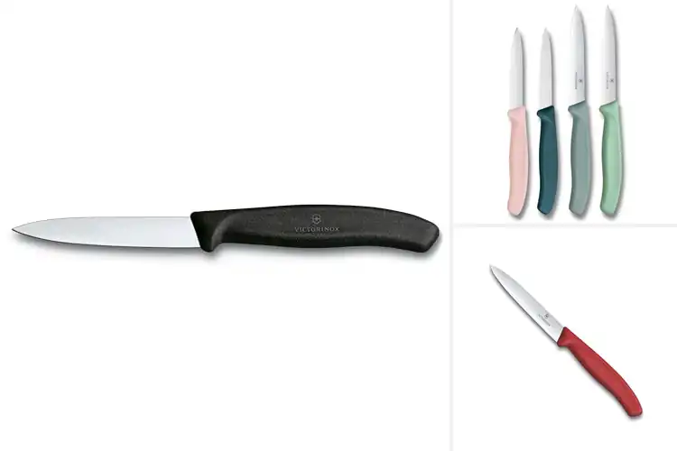 Detailed view of Best Victorinox Paring Knives