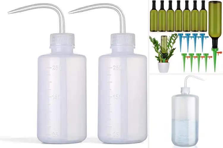 Detailed view of Best Watering Bottles for Thriving Plants